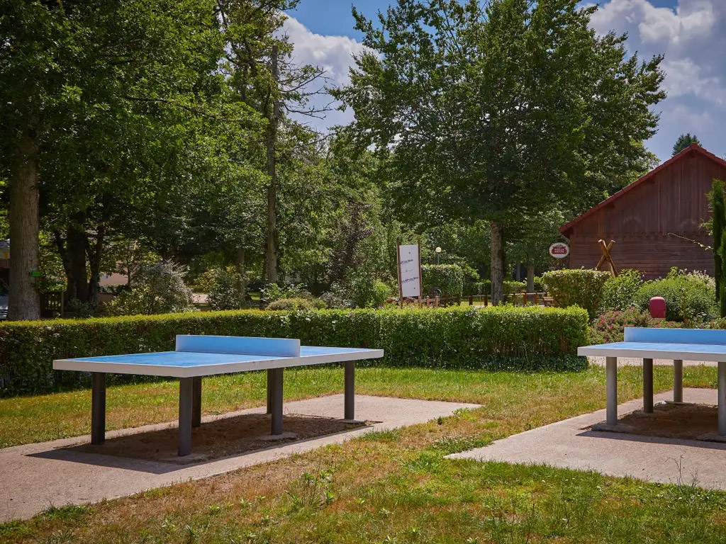 Boek eens een ezelwandeling of paardrijles op deze franse charmecamping