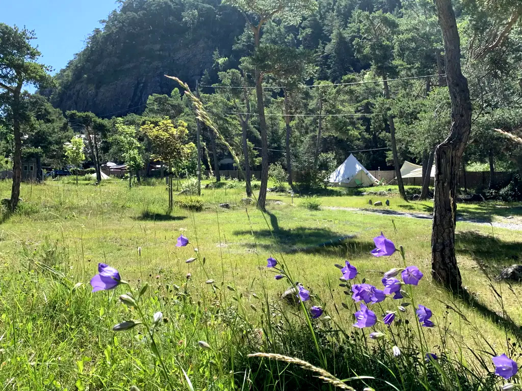 Zonnige charmecamping in de Zuid-Franse Alpen