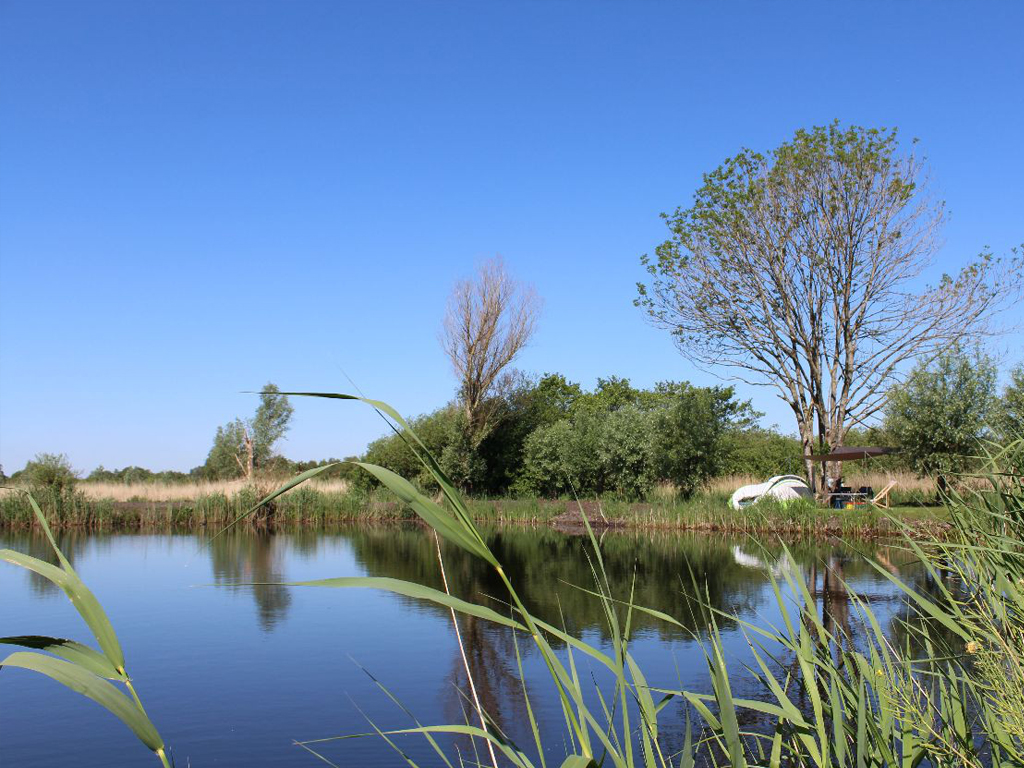 Camping Muggenbeet, Blokzijl - Kamperen In De In Weerribben