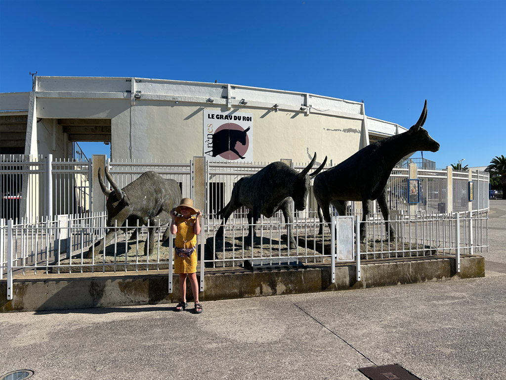 De Camargue in Frankrijk staat bekend om zijn stierenspelen