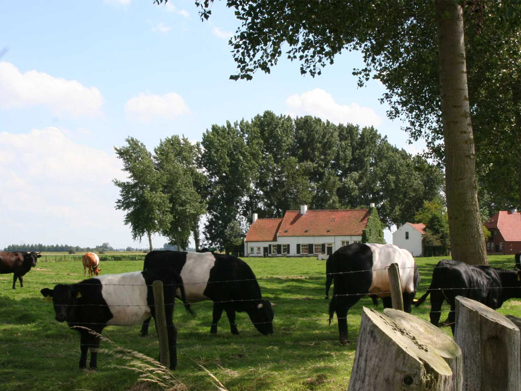 Molecaten Camping En Vakantiepark Waterdunen - Kamperen In Breskens ...