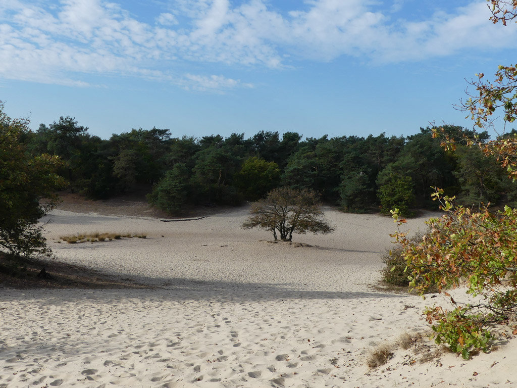 De route neemt je mee door eindeloze zandvlaktes, dichte bossen en kleurrijke heidevelden.